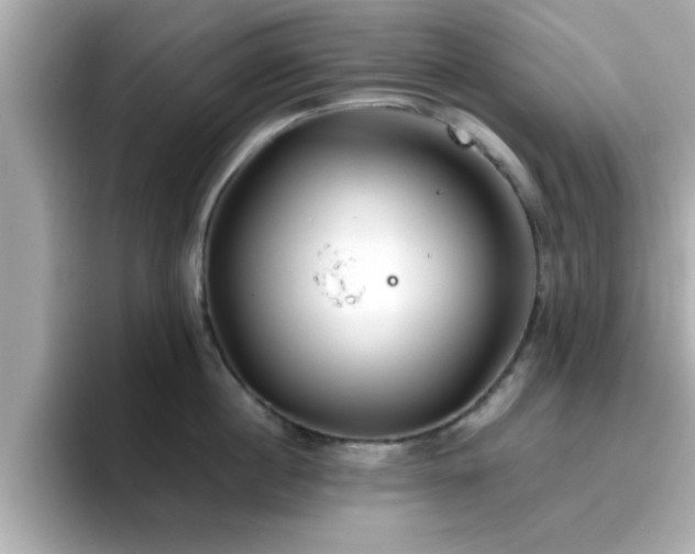 X0000096660860200802121129