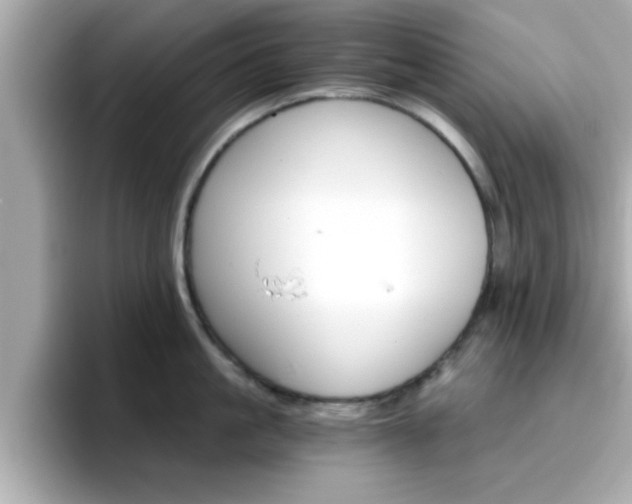 X0000096660861200802121129