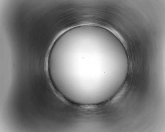 X0000096660862200802121129