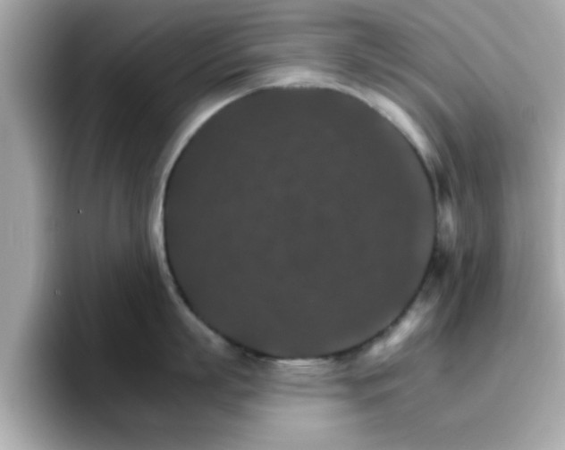 X0000096660863200802121129