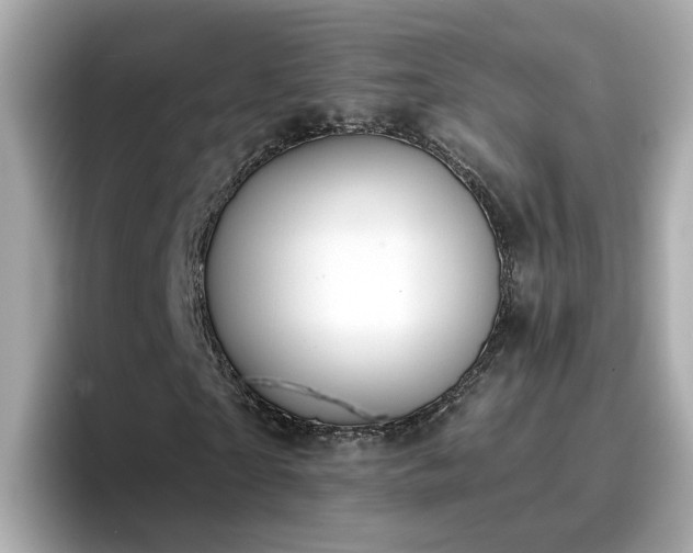 X0000096660865200802121128