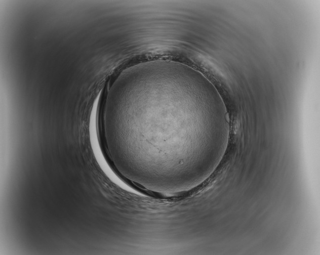 X0000096660868200802121128