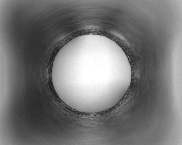 X0000096660869200802121128