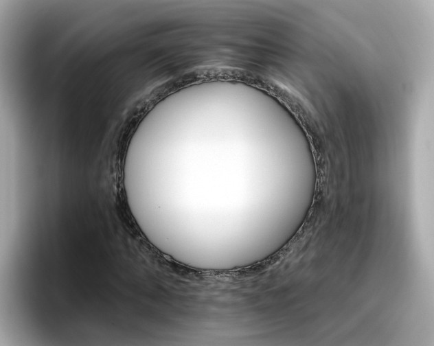 X0000096660870200802121128