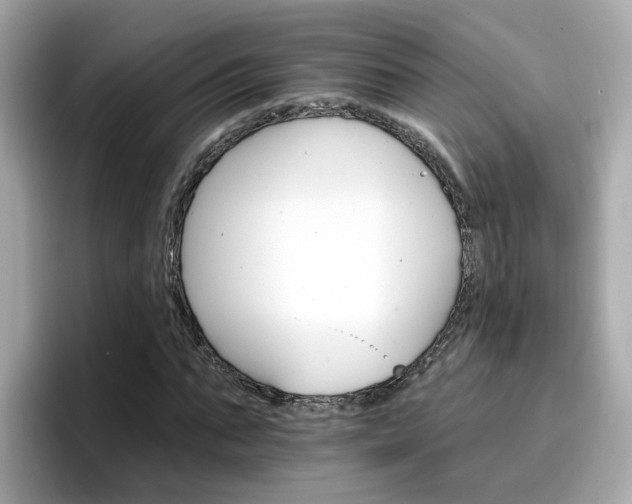 X0000096660871200802121128