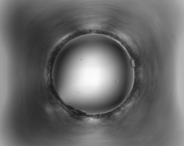 X0000096660872200802121128