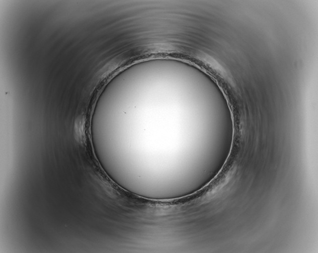 X0000096660873200802121128