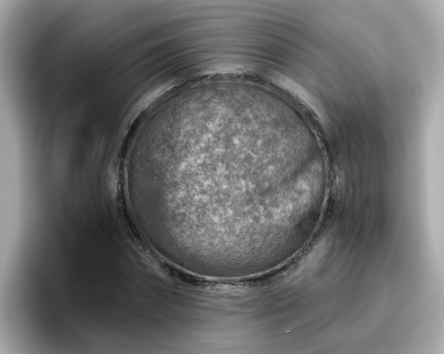 X0000096660874200802121128