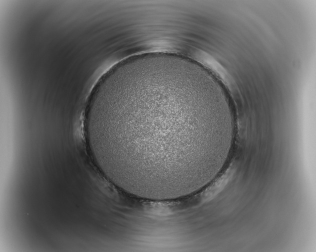 X0000096660875200802121128