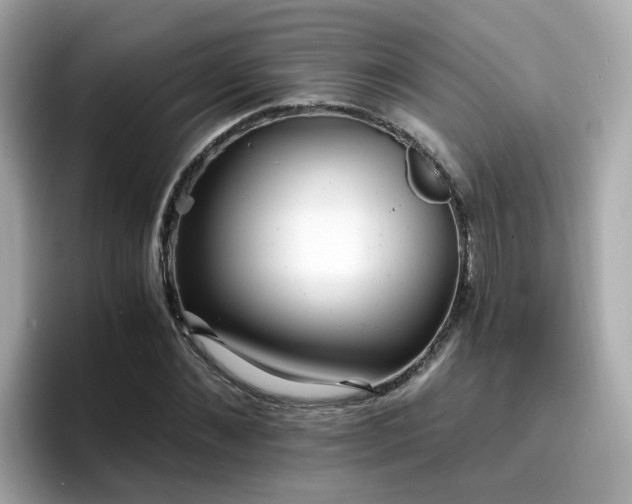 X0000096660876200802121128