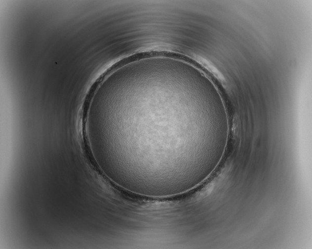 X0000096660877200802121128