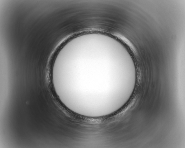 X0000096660878200802121128