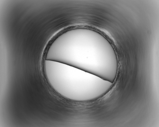 X0000096660879200802121128