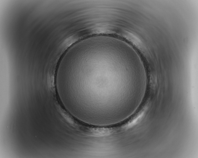 X0000096660881200802121128