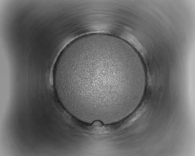 X0000096660883200802121128