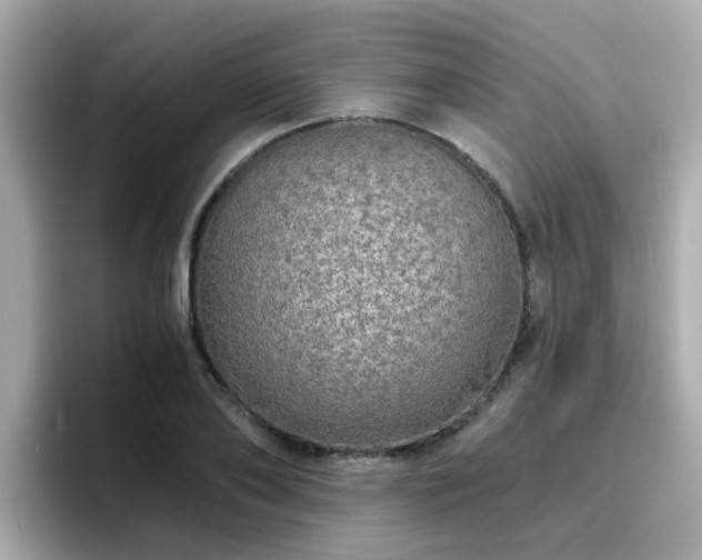 X0000096660886200802121128