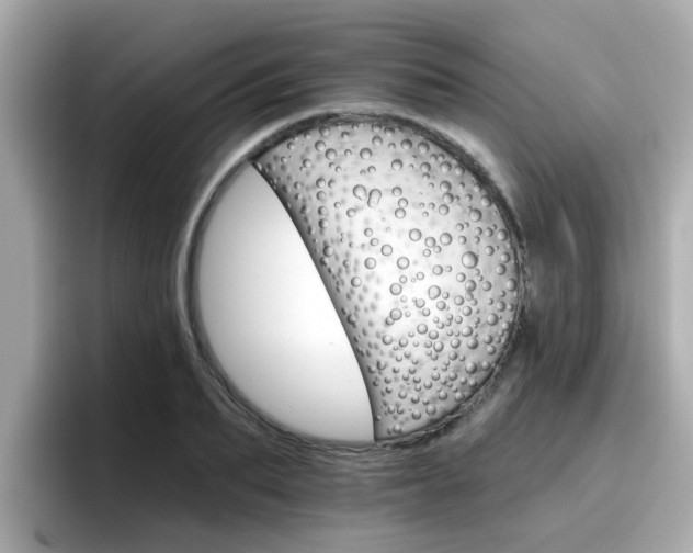 X0000096660887200802121128