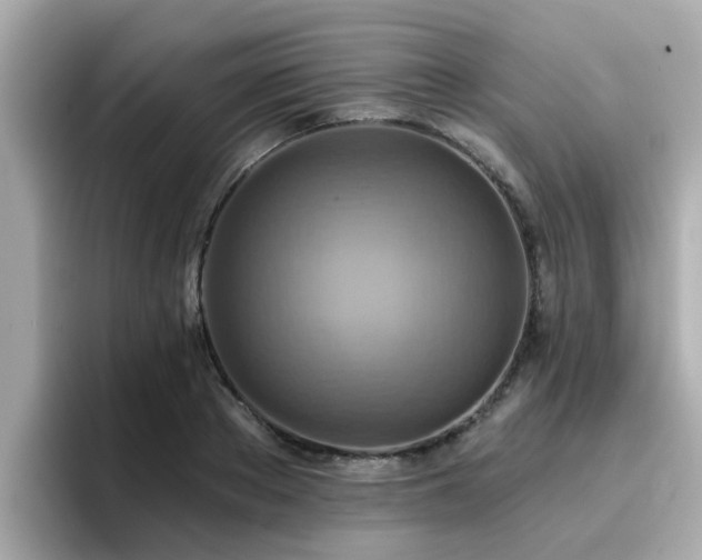 X0000096660889200802121128