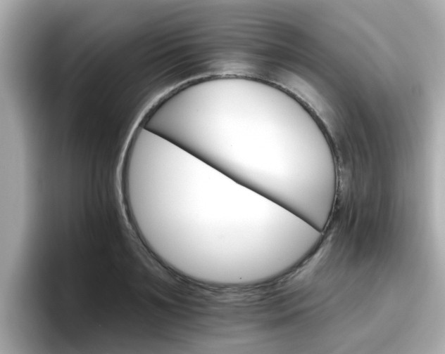 X0000096660891200802121128