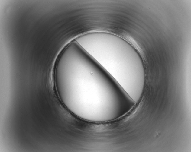 X0000096660892200802121128