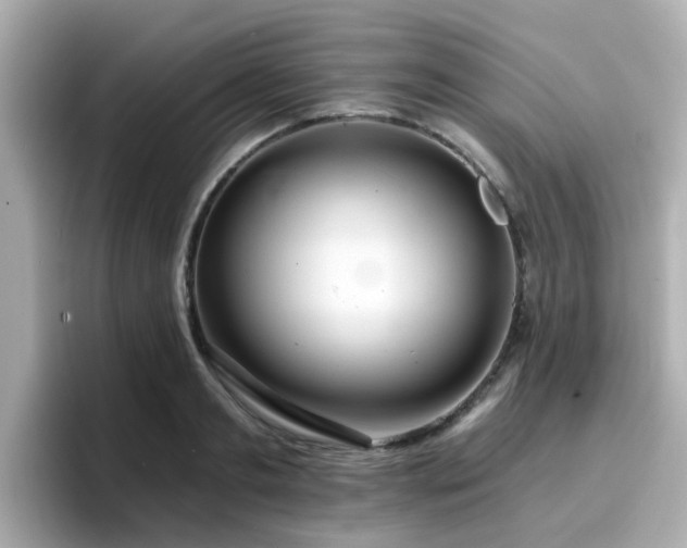 X0000096660893200802121128