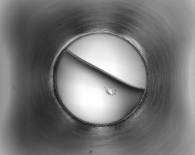 X0000096660894200802121128