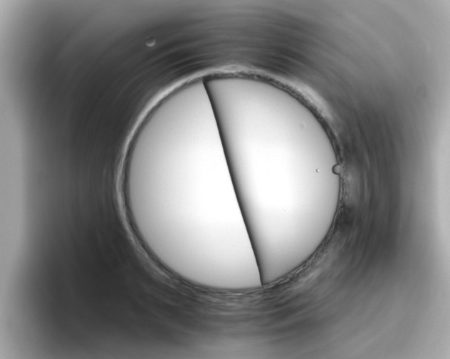 X0000096660895200802121128