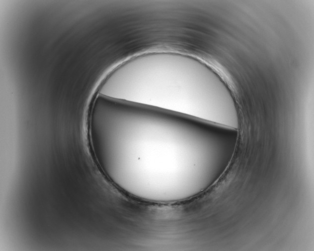 X0000096660896200802121128