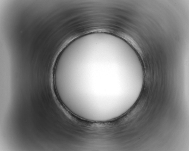 X0000096660898200802121128