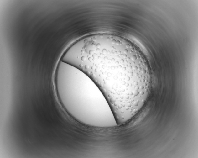 X0000096660899200802121128