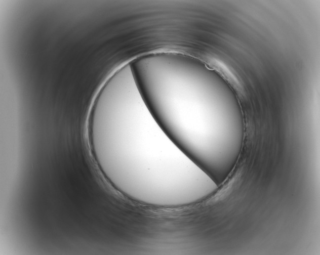 X0000096660900200802121128