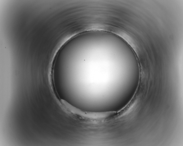 X0000096660901200802121128