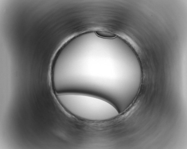 X0000096660902200802121128