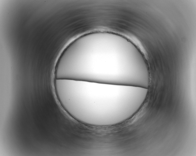 X0000096660903200802121128