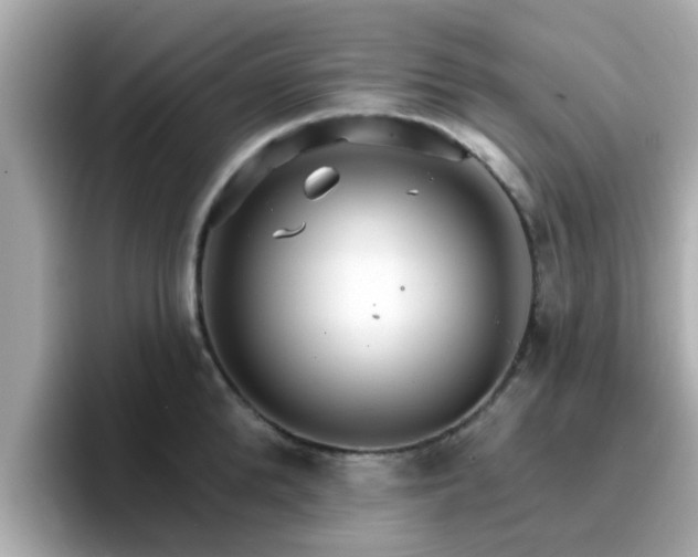 X0000096660904200802121128