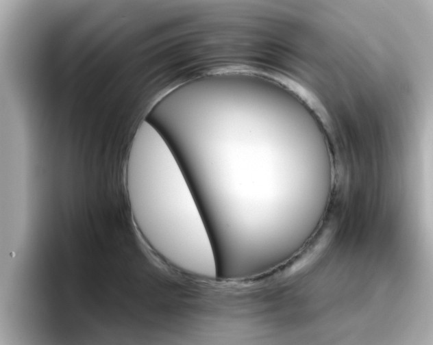 X0000096660905200802121128