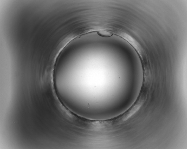 X0000096660906200802121128