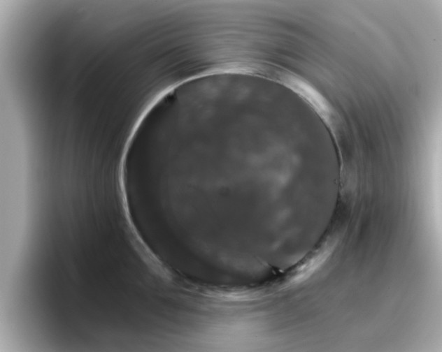 X0000096660907200802121128