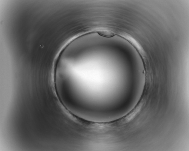 X0000096660910200802121128