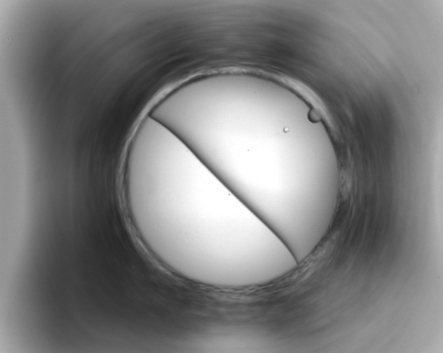 X0000096660911200802121128