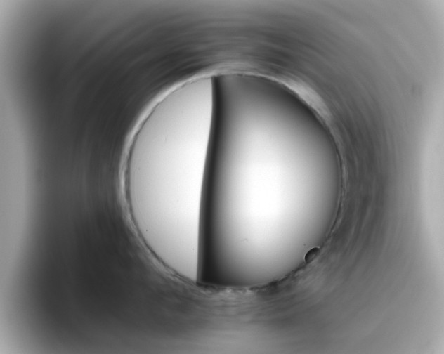 X0000096660912200802121128