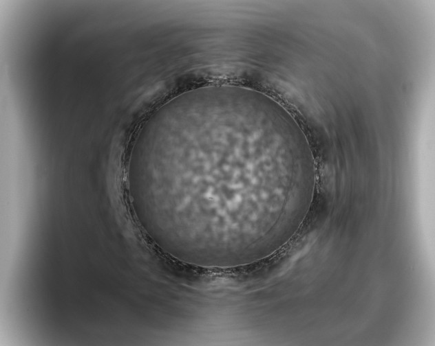 X0000096660913200802121127