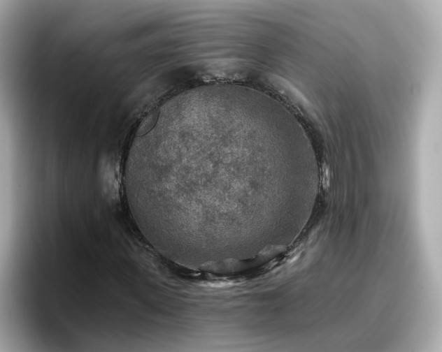 X0000096660915200802121127