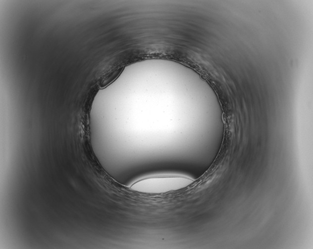 X0000096660916200802121127