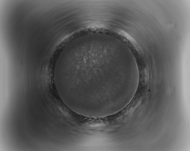 X0000096660919200802121127