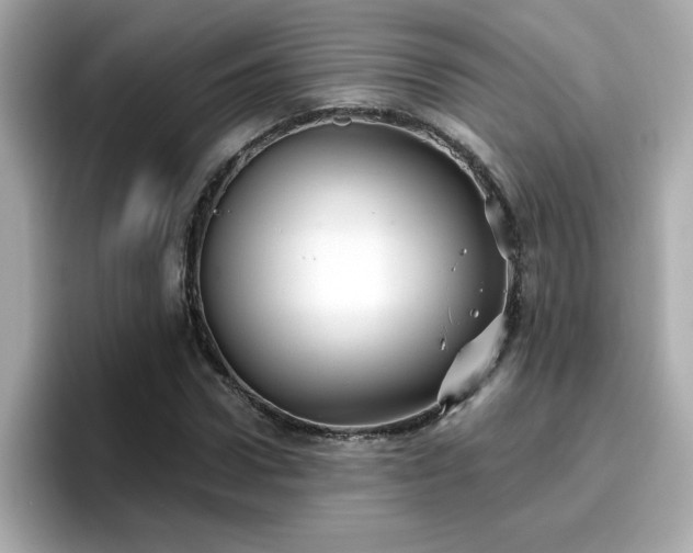 X0000096660922200802121127