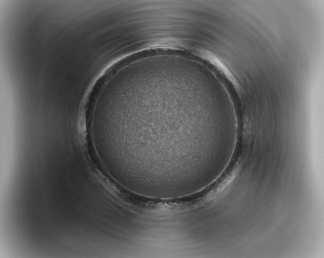 X0000096660923200802121127