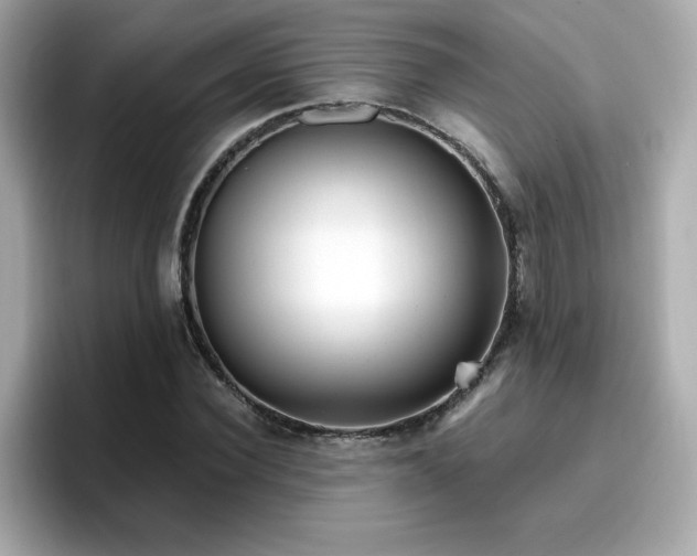 X0000096660924200802121127