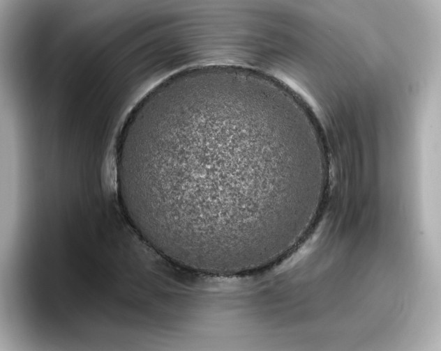 X0000096660925200802121127