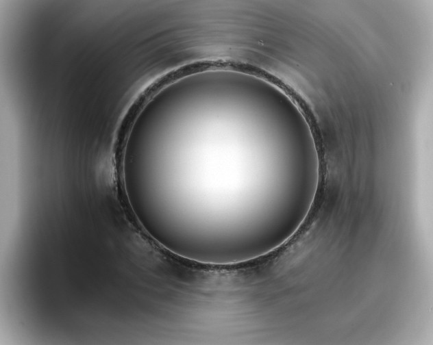 X0000096660927200802121127